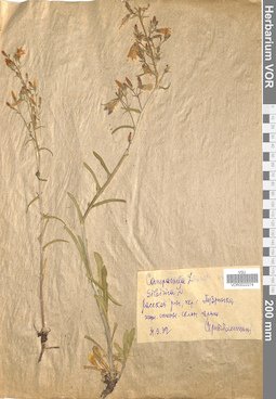 VOR 0022274