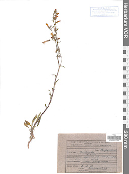 VOR 0022266