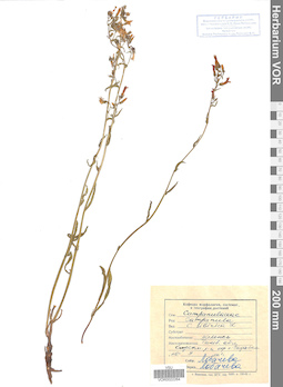 VOR 0022264