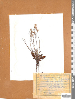 VOR 0022256