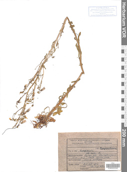 VOR 0022248
