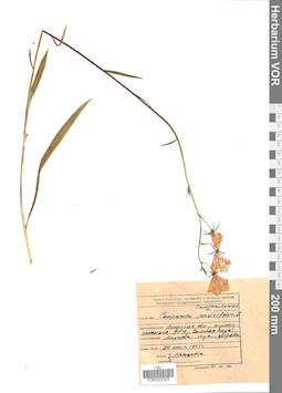 VOR 0022303
