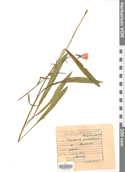 VOR 0022302