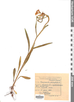 VOR 0022301