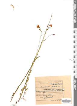 VOR 0022099
