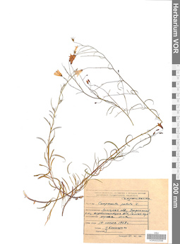 VOR 0022098