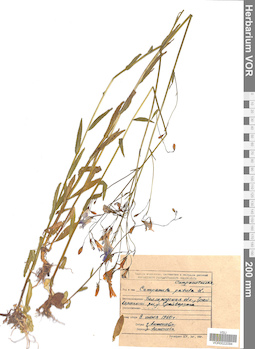VOR 0022094