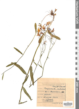 VOR 0022090