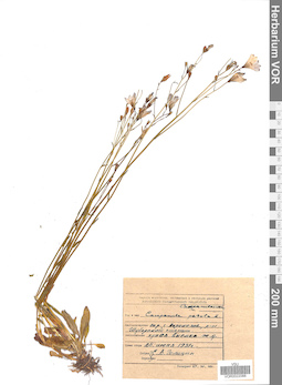 VOR 0022088