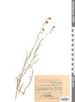 VOR 0022086