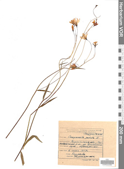 VOR 0022084