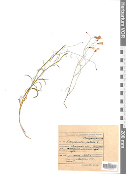 VOR 0022076
