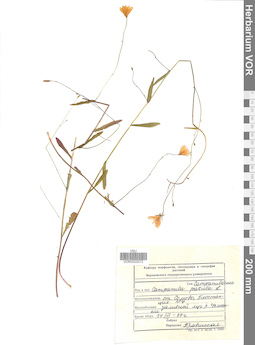 VOR 0022072