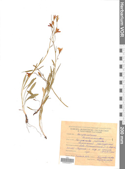 VOR 0022071