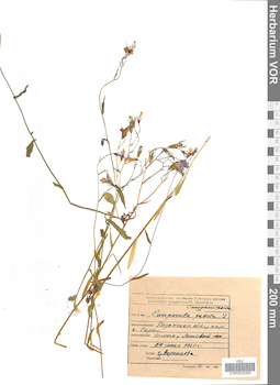 VOR 0022065