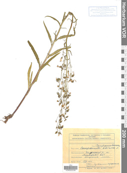 VOR 0022236