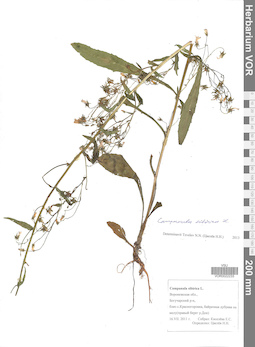 VOR 0022233