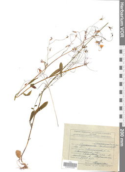 VOR 0022358