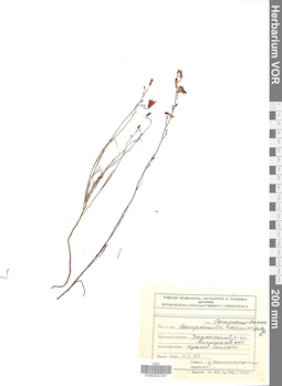 VOR 0022357