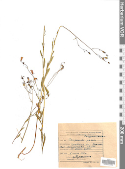 VOR 0022053