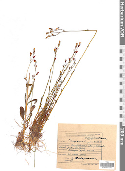 VOR 0022050