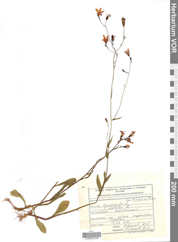 VOR 0022048