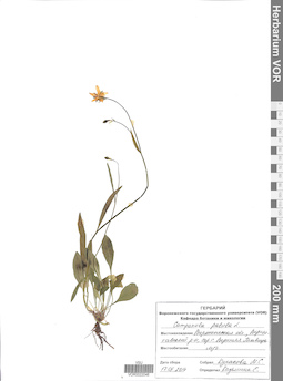 VOR 0022046