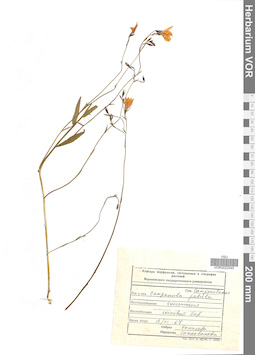VOR 0022045