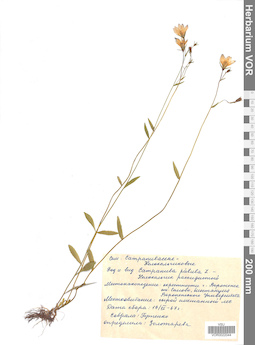 VOR 0022044