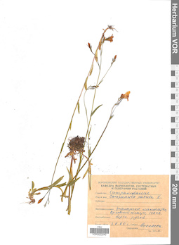 VOR 0022040
