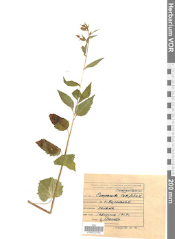 VOR 0022164