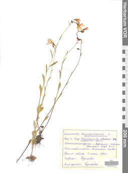 VOR 0022152