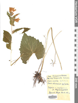 VOR 0022151