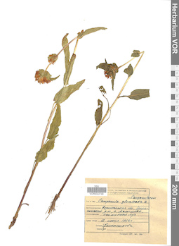 VOR 0022749