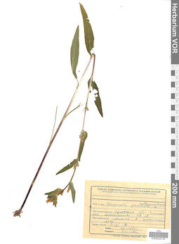VOR 0022140