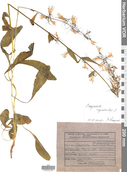 VOR 0022486