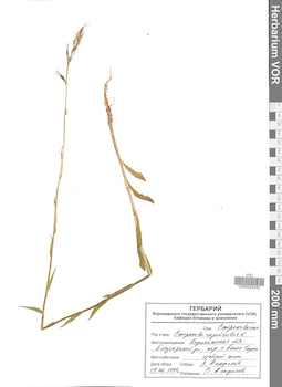 VOR 0022430