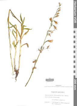 VOR 0042478