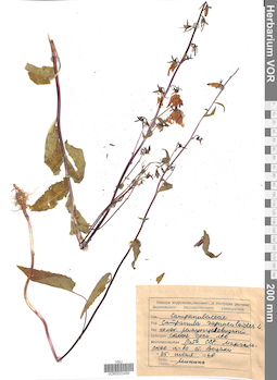 VOR 0022456