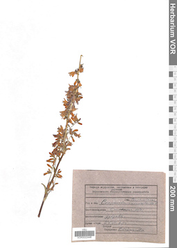 VOR 0022446
