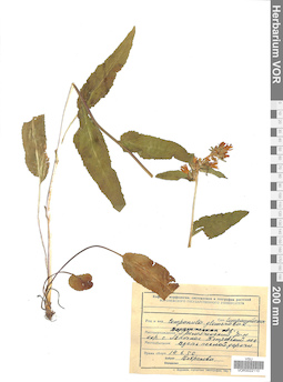 VOR 0022110