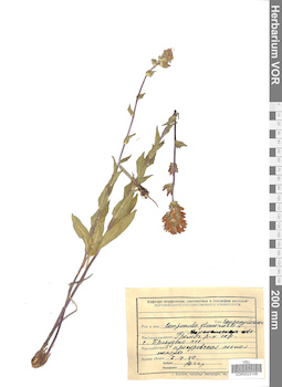 VOR 0022108