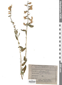 VOR 0021745
