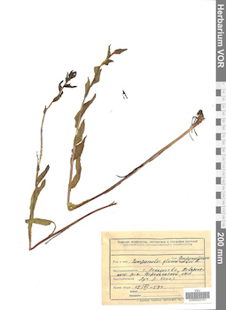 VOR 0022101