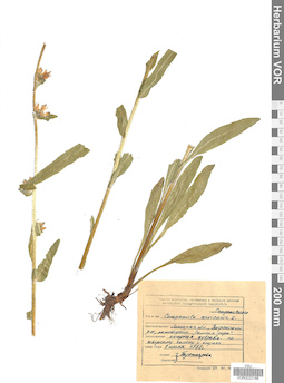 VOR 0022188
