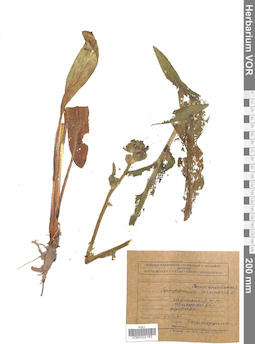 VOR 0022183