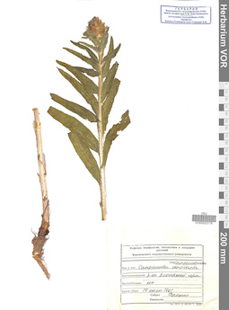 VOR 0022176
