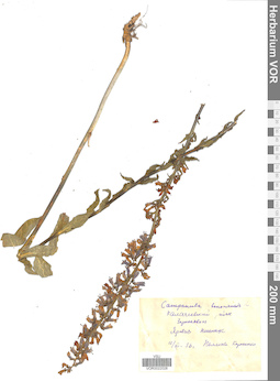 VOR 0022028