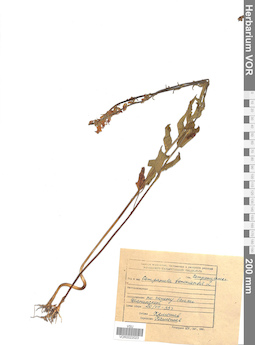 VOR 0022023