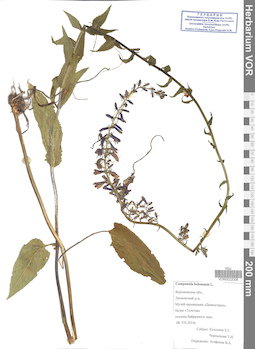 VOR 0022008